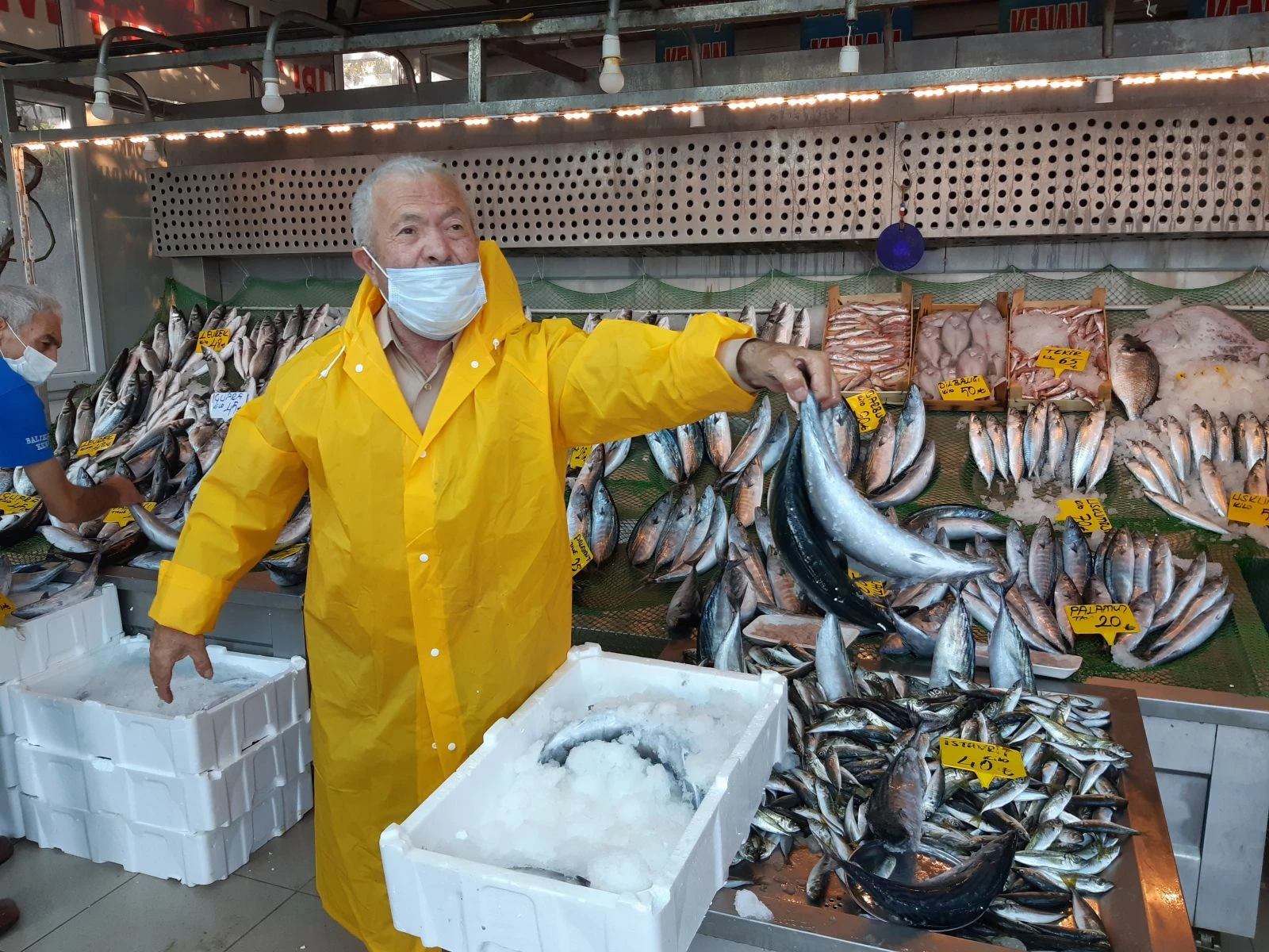 Tezgahlarda palamut bolluğu